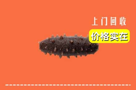 三沙南沙回收海参