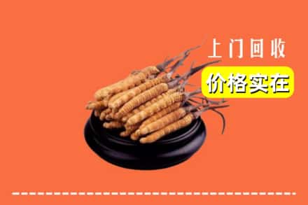 三沙南沙回收冬虫夏草